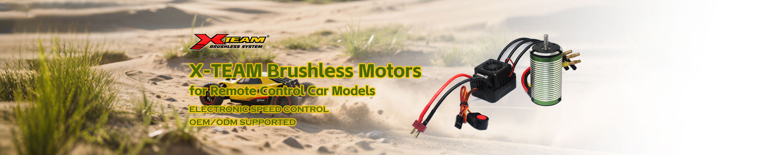 X team brushless motors for remote control car models